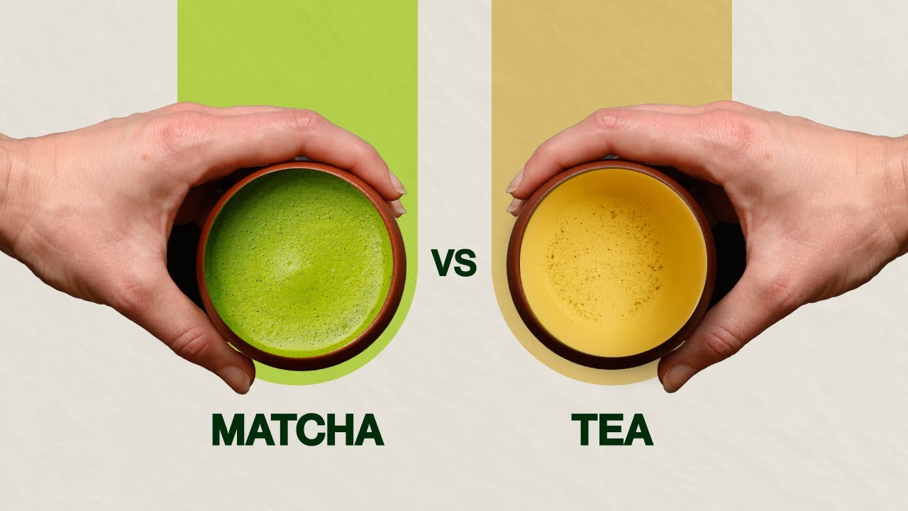 Matcha vs Sencha - A Battle is Brewing