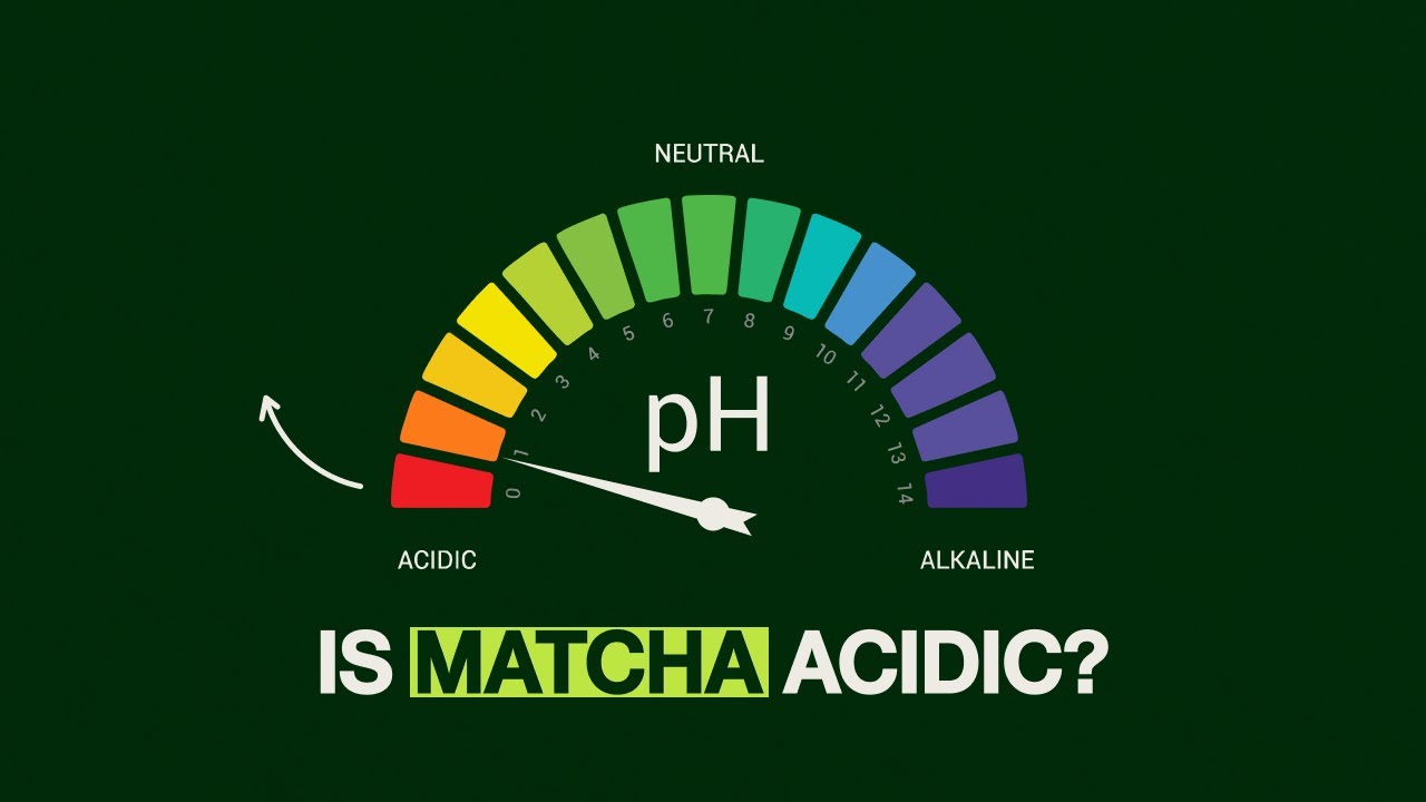 Is Matcha Acidic? How Does it Measure on the pH Scale?
