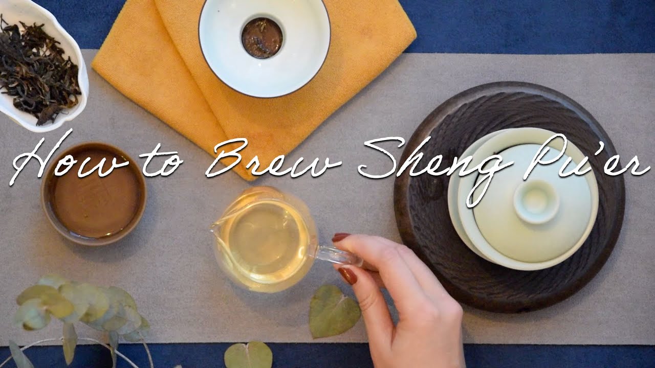 How to Brew Sheng Pu erh | Gongfu Tea in Gaiwan & Yixing Teapot | Raw Puerh Dark Tea | ZhenTea