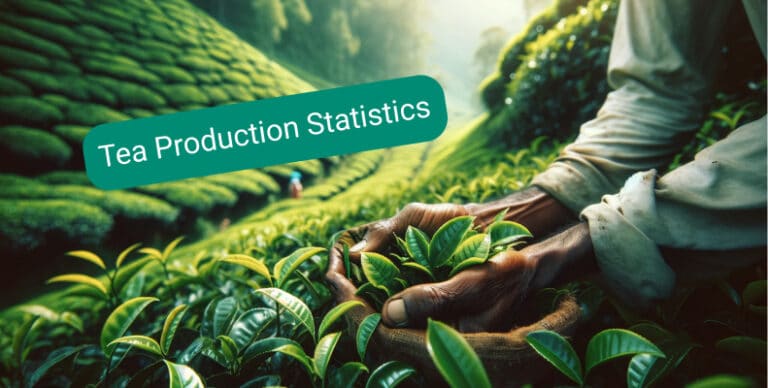 Tea Production Statistics 2024 18 Interesting Facts