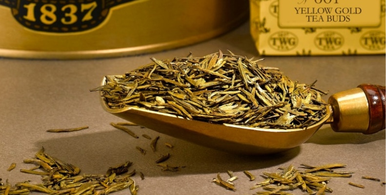 Yellow Gold Tea Buds - Most Expensive Tea